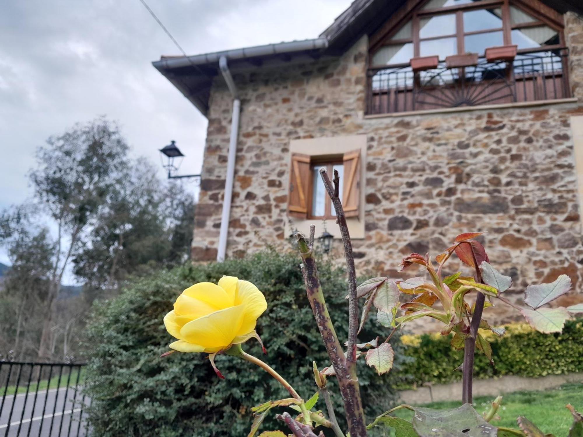 Urrezko Ametsa Pensionat Sopuerta Exteriör bild